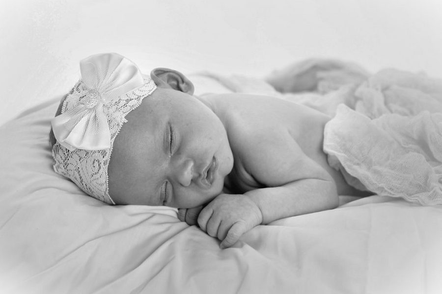newborn & portrait photographer
